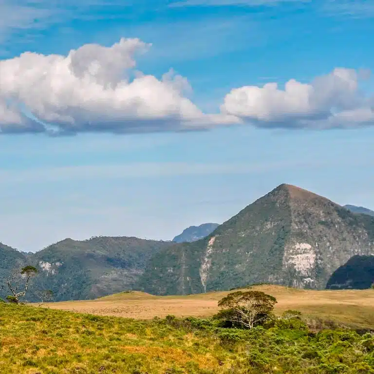 altos-do-corvo-branco-urubici